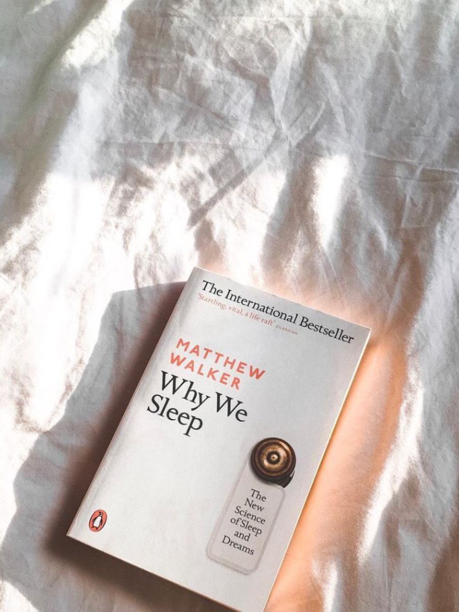 Why We Sleep Summary: Why We Sleep by Matthew Walker Explained in 2 ...