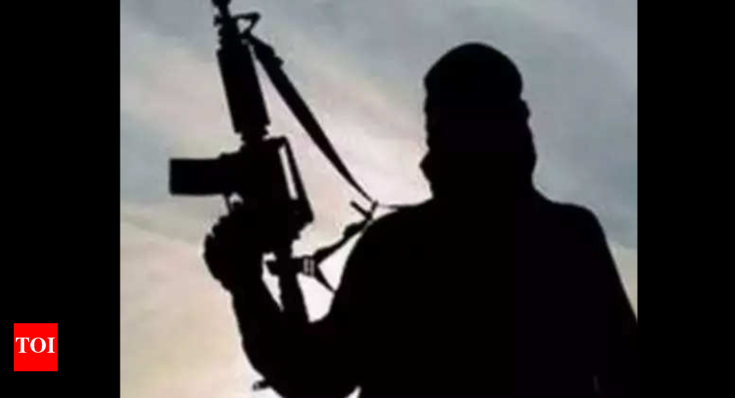 Chhattisgarh News: Naxalite killed in encounter with police in Chhattisgarh | Raipur News - Vimarsana News