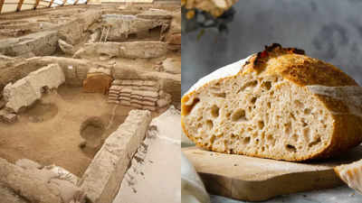 8,600-year-old world's oldest bread found in Turkey