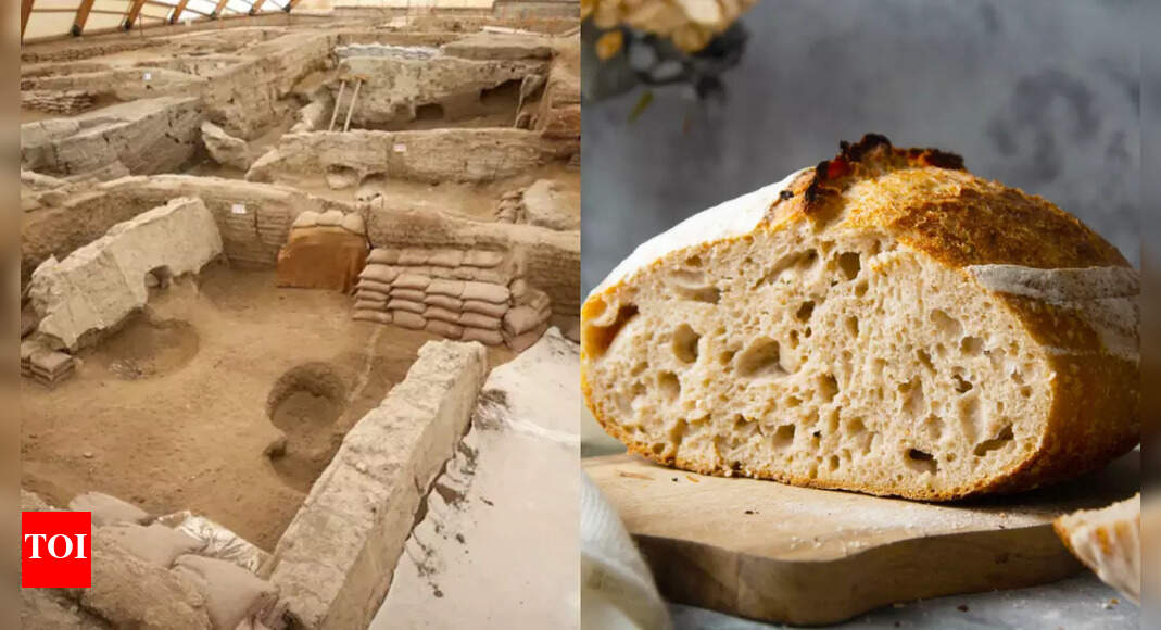 World’s Oldest Bread: 8,600-year-old world’s oldest bread found in Turkey |