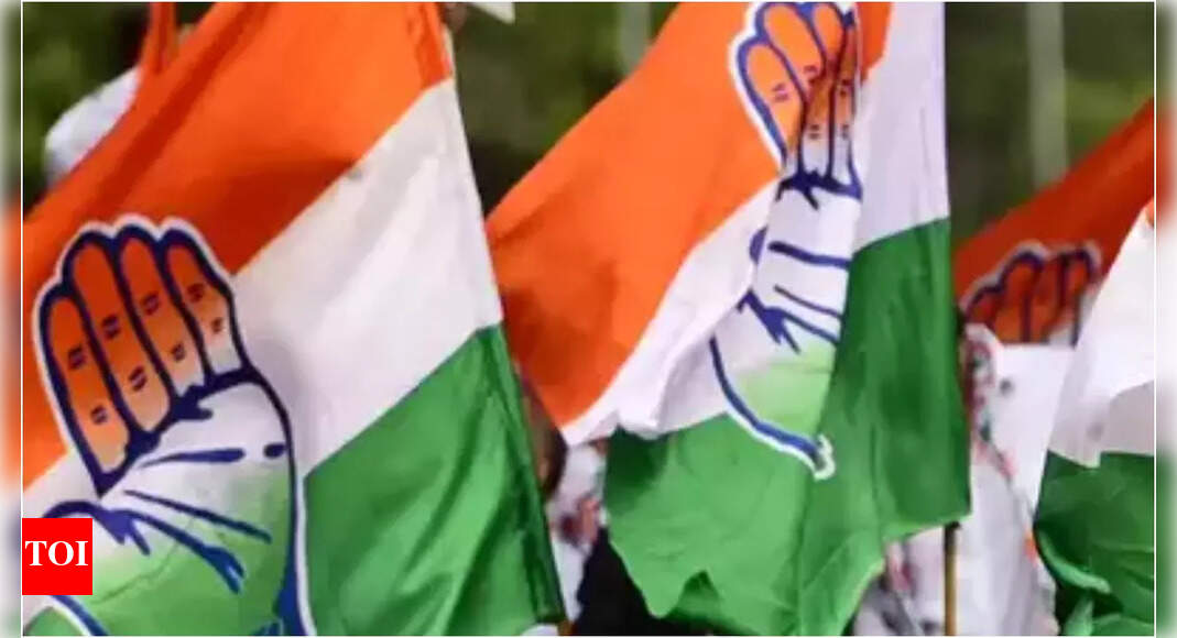 Row erupts over social media post hinting at Congress candidate for Lok Sabha poll | Raipur News - Vimarsana News