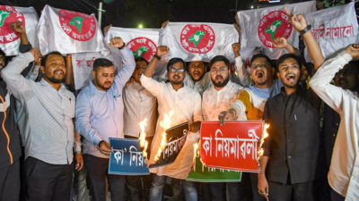 CAA copies burnt, 'hartal' in Assam as Centre notifies rules