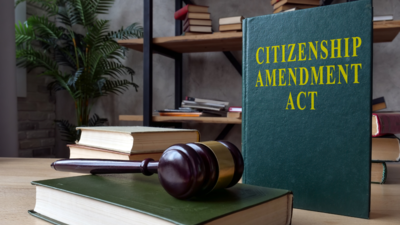 CAA Rules: Empowered panel to review citizenship applications