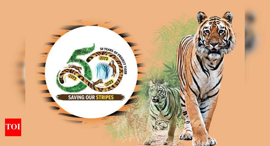 Project Tiger: BURNING BRIGHT ALRIGHT, BUT WILL WE LET THEM LIVE? | India News - Vimarsana News
