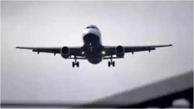 Miraculous: Woman gives birth to baby mid-flight