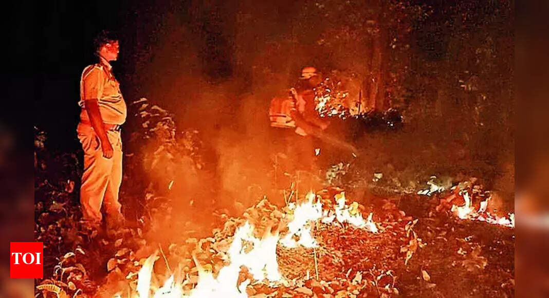 Similipal: Similipal Tiger Reserve to Procure ATVs for Quick Access to Fire Points | Bhubaneswar News - Vimarsana News
