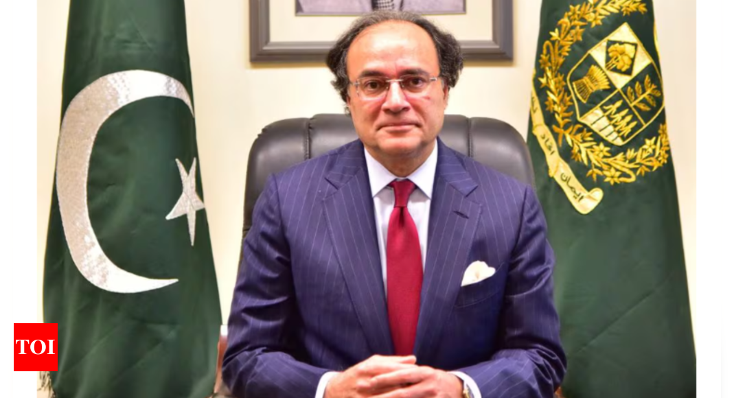 Ex-JP Morgan banker Muhammad Aurangzeb becomes Pakistan’s new finance minister