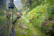 Tamil Nadu: Special toy train service in Coonoor and Ooty from March 29 to July 1