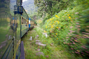 tamil nadu special toy train service in coonoor and ooty from march 29 to july 1