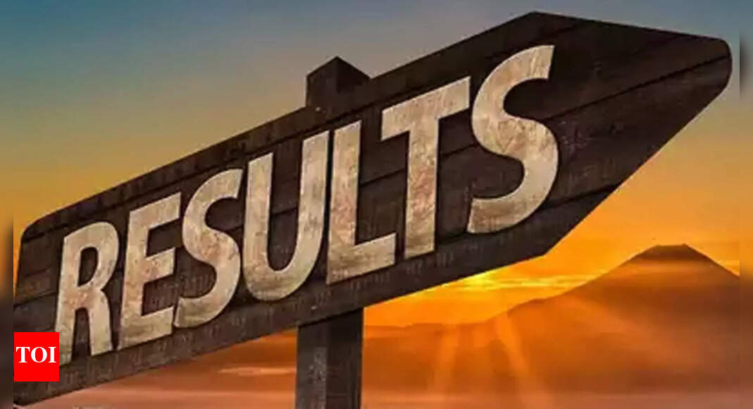 Maharashtra Talathi 2024 Revised Result Released at mahabhumi.gov.in; Check merit list PDF here