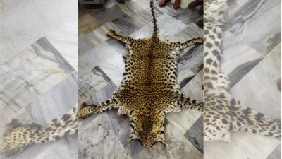 DRI seizes leopard skin, four arrested