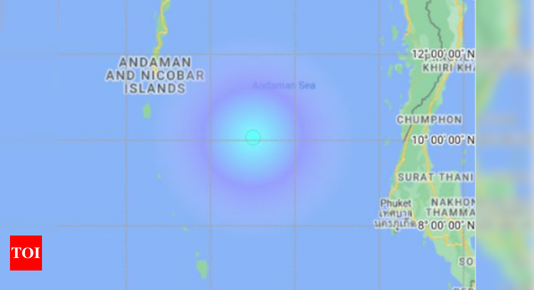 A 4.2 magnitude earthquake strikes the Andaman Sea  India News