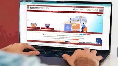 CAA portal goes live, applicants can file claim on website or ...
