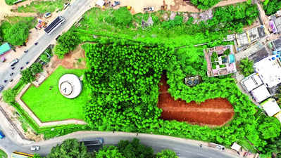 TN’s corporate afforestation: A movement amid concrete jungles