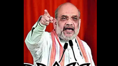 Cong, AIMIM lying to minorities about CAA for votes: Shah