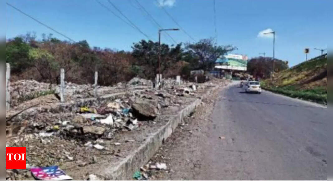 Service Road Between Wakad & Warje A Garbage Dumping Spot | Pune News - Vimarsana News