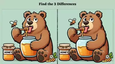 Optical Illusion: Only a genius with sharp eyes can spot 3 differences in this bear eating honey picture