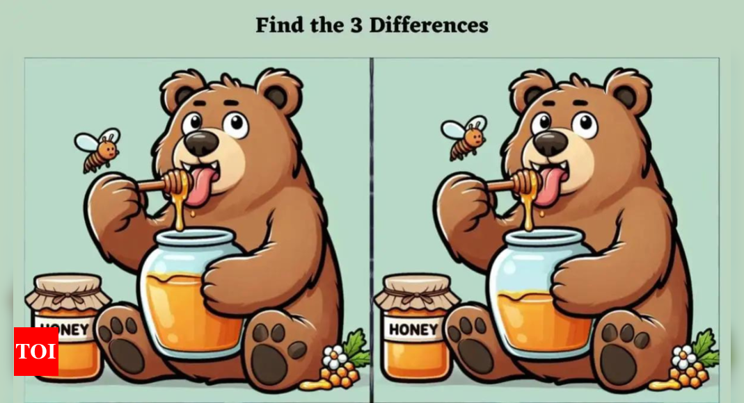 Optical Illusion Only A Genius With Sharp Eyes Can Spot 3 Differences In This Bear Eating Honey 7651