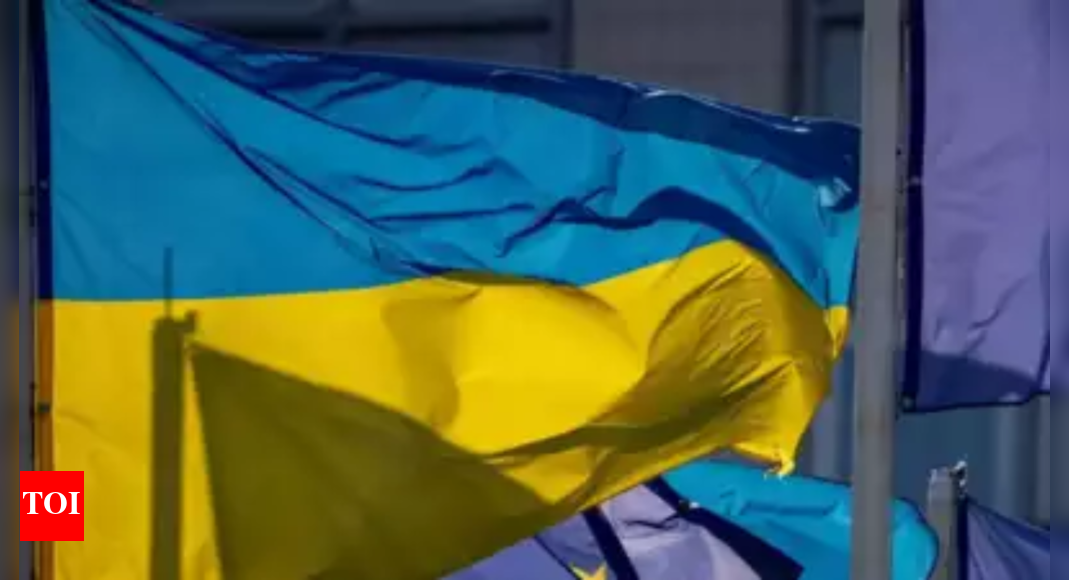 Ukraine says hopes to get Czech shells soon - Times of India