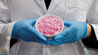 South Korean scientists grow beef cells in rice as protein alternative