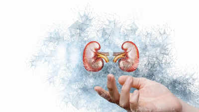 Myths and facts related to kidney health and kidney transplant