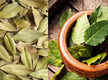 
8 lesser-known benefits of adding Bay Leaf to daily diet
