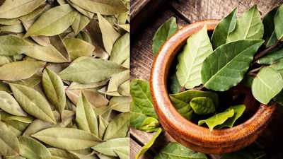 8 lesser-known benefits of adding Bay Leaf to daily diet