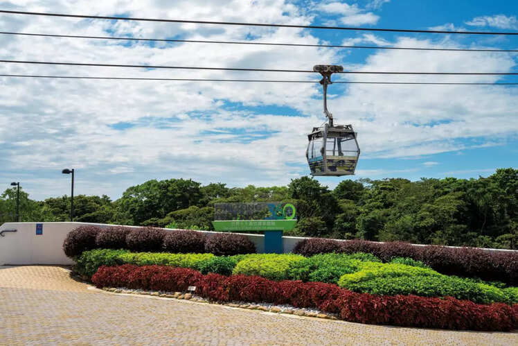 Ngong Ping 360- For the adventure seekers