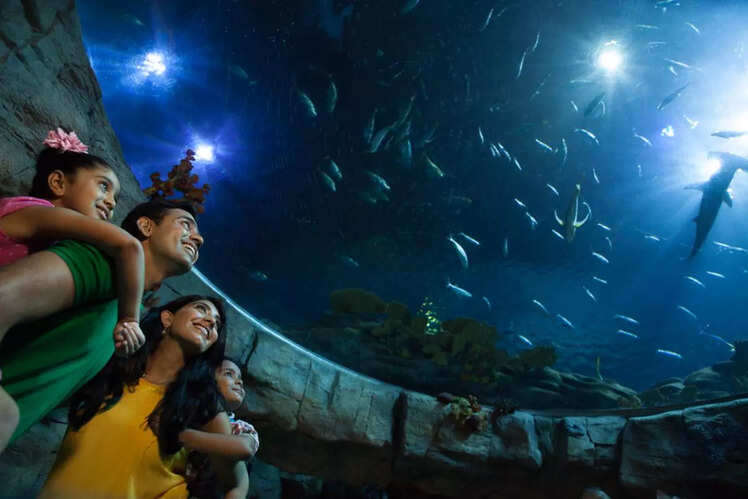 Water World Ocean Park- Where aquatic dreamland awaits