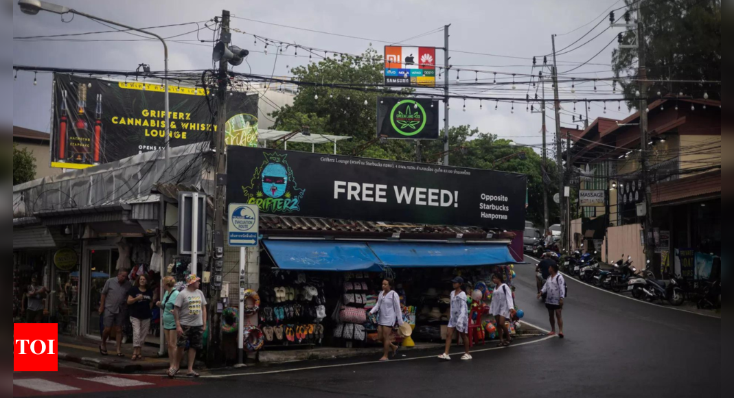 Thailand's cannabis culture may come to an end with govt seeking ban