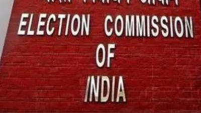 Lok Sabha Election in Chhattisgarh 2024: Date, schedule, constituency details