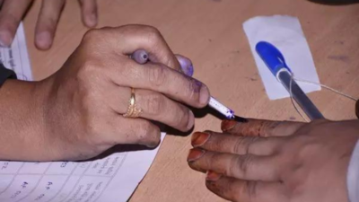 Lok Sabha Election in Sikkim 2024: Date, schedule, constituency details