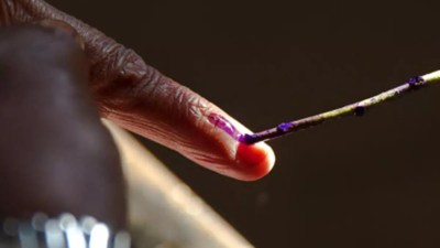1st in LS polls: 82 lakh aged over 85 can vote from home
