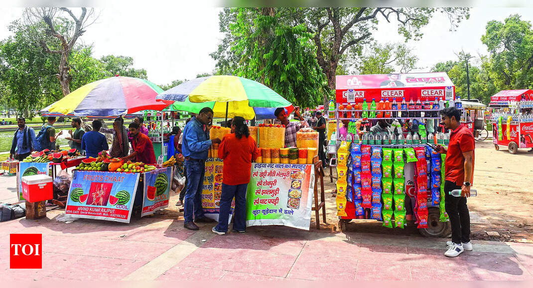 Street Vendors MCD Street Vendors Survey in New Delhi by Municipal