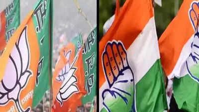 BJP targets Congress LS candidates in Chhattisgarh through cartoons on social media