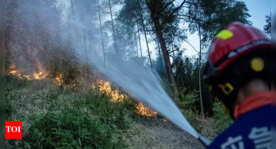 China activates Level-IV emergency as rescuers battle wildfires in China’s Sichuan – Times of India