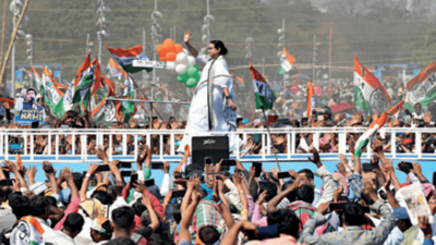 After ground recovery, TMC starts race ahead