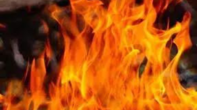 Fire leaves properties damaged in bank near Thuvakudi industrial estate