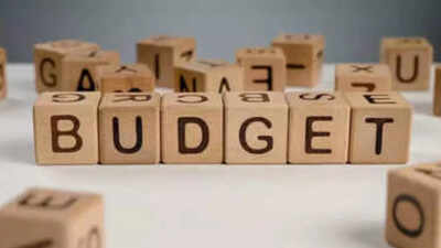 UT approves 300cr interim budget for MC