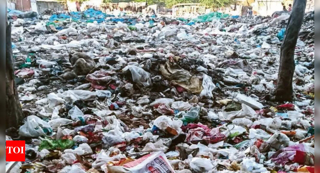 No safai staffers, waste piles up here; stench makes life miserable ...