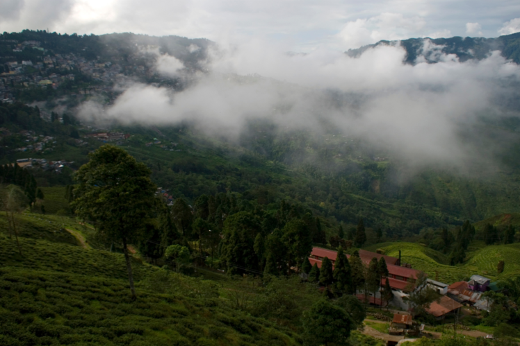 Darjeeling, West Bengal