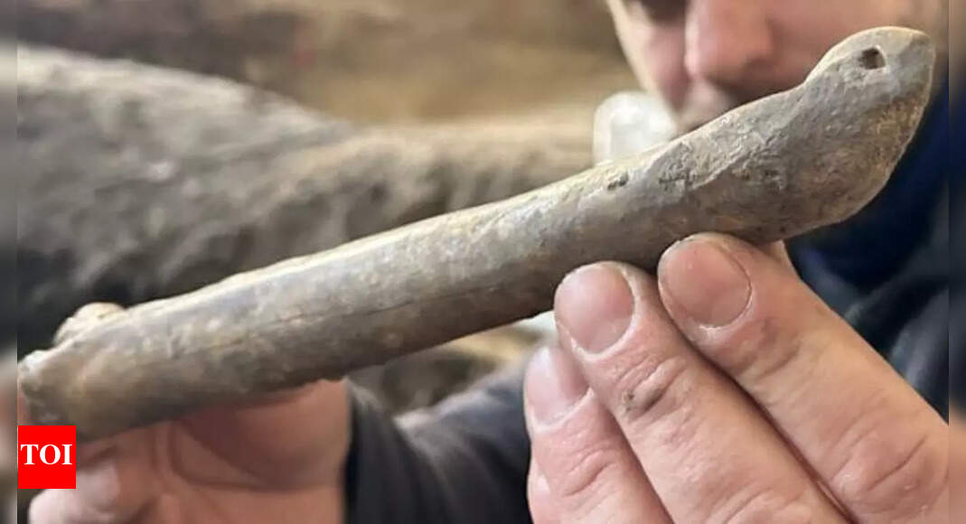 Archaeologists discover 1,000-year-old bone skate in Central Europe ...