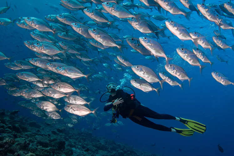 Palau