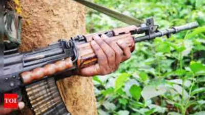 4 Telangana-based Maoists killed in encounter in Gadchiroli