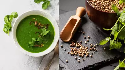 Coriander: Easy ways to include them in your diet