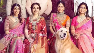 Meet Happy, the Ambanis' cute pet dog who is part of their family