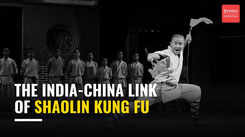 The lesser known link between Shaolin Kung Fu and India