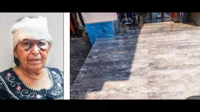 Delhi: Mother slips, disability activist complains to Centre