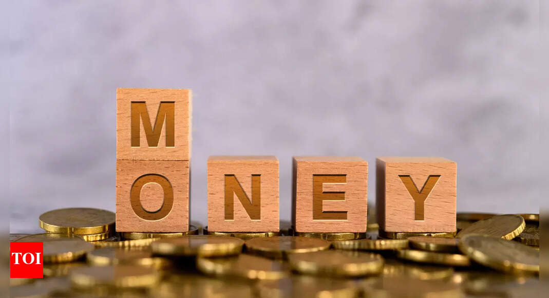 Mutual funds primer: What are large and midcap funds? – Times of India