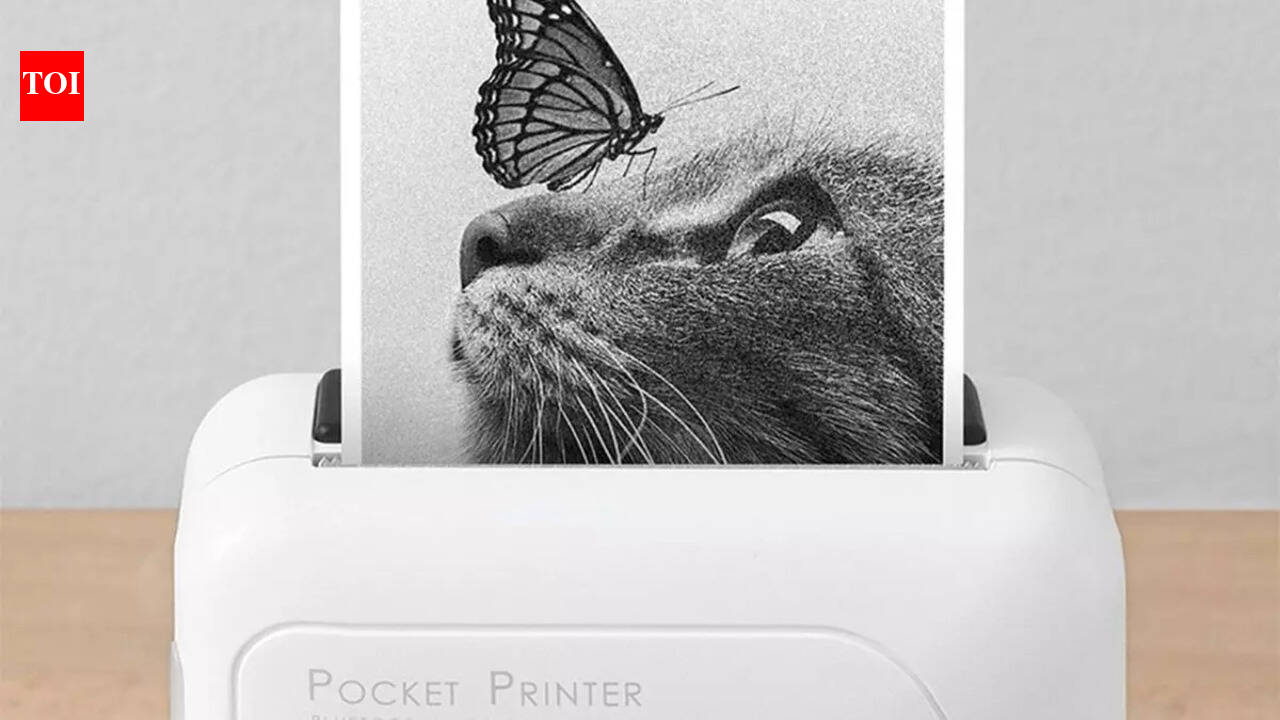 Best Portable Printers: Top Picks That You Can Carry Along - The Times ...
